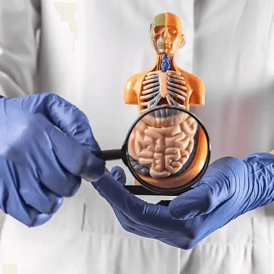 Diet Plan After Gastric Bypass Surgery in Dubai