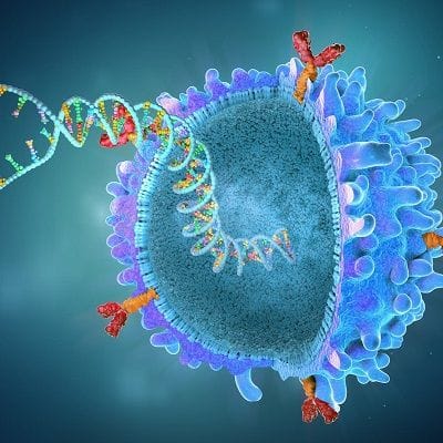Is Peptide Therapy Good for the Immune System? 1 Is Peptide Therapy Good for the Immune System?