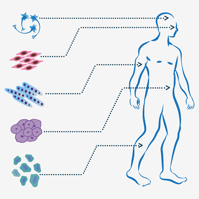 What Diseases Can Be Treated With Regenerative Medicine? 1 What Diseases Can Be Treated With Regenerative Medicine in Dubai?