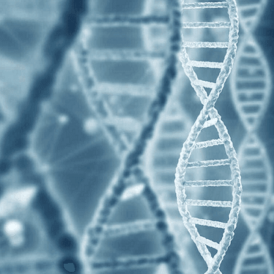 What is Regenerative Medicine And How Does It Work